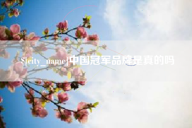 桂阳中国冠军品牌是真的吗