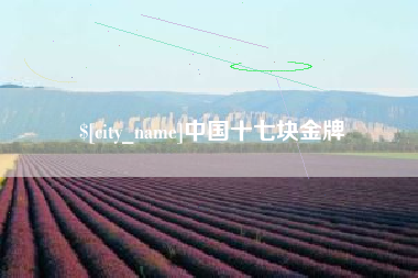 桂阳中国十七块金牌