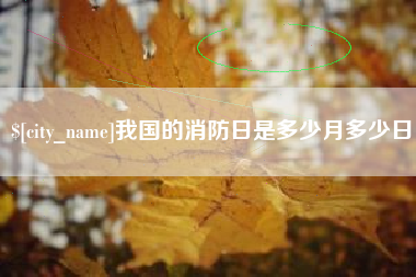 桂阳我国的消防日是多少月多少日