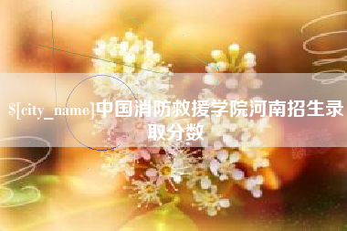 桂阳中国消防救援学院河南招生录取分数