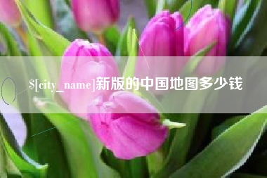桂阳新版的中国地图多少钱