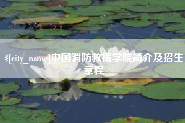 桂阳中国消防救援学院简介及招生章程