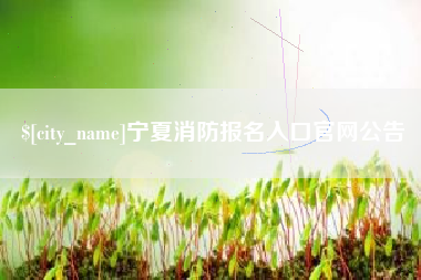 桂阳宁夏消防报名入口官网公告