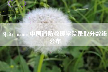 桂阳中国消防救援学院录取分数线公布