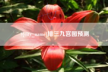 桂阳排三九宫图预测
