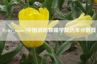 桂阳中国消防救援学院历年分数线