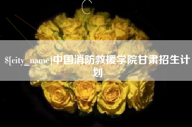 桂阳中国消防救援学院甘肃招生计划