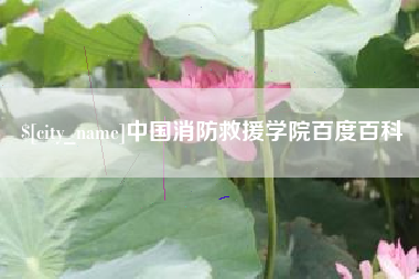 桂阳中国消防救援学院百度百科