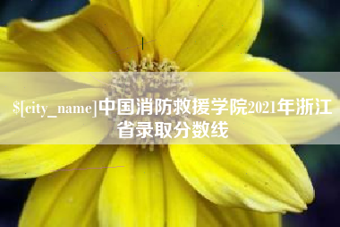 桂阳中国消防救援学院2021年浙江省录取分数线