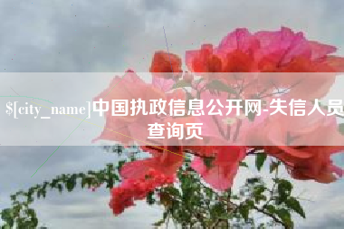 桂阳中国执政信息公开网-失信人员查询页