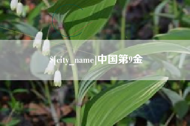 桂阳中国第9金