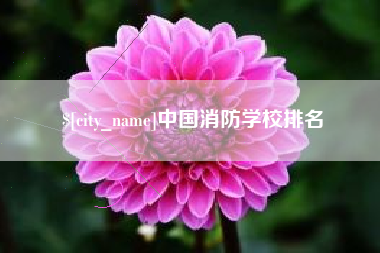 桂阳中国消防学校排名