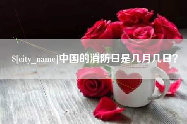 桂阳中国的消防日是几月几日？