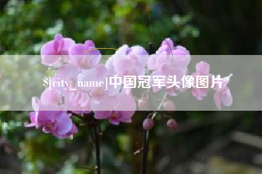桂阳中国冠军头像图片