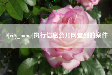 桂阳执行信息公开网查到的案件