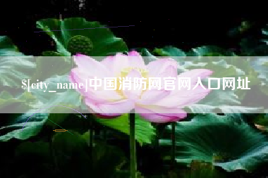 桂阳中国消防网官网入口网址