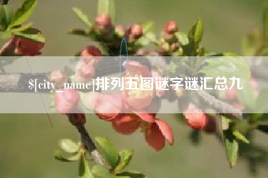 桂阳排列五图谜字谜汇总九