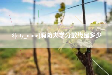 桂阳消防大学分数线是多少