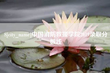 桂阳中国消防救援学院2019录取分数线