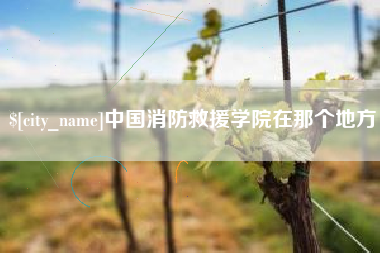 桂阳中国消防救援学院在那个地方