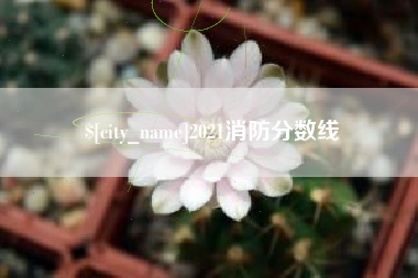 桂阳2021消防分数线