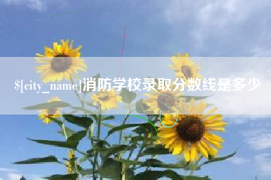 桂阳消防学校录取分数线是多少