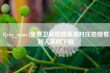 桂阳免费卫星地图高清村庄地图看到人实时下载