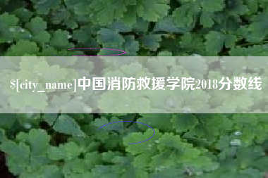 桂阳中国消防救援学院2018分数线