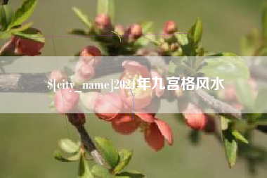 桂阳2021年九宫格风水