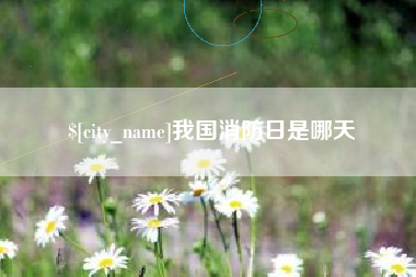 桂阳我国消防日是哪天