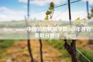 桂阳中国消防救援学院2020年各省录取分数线