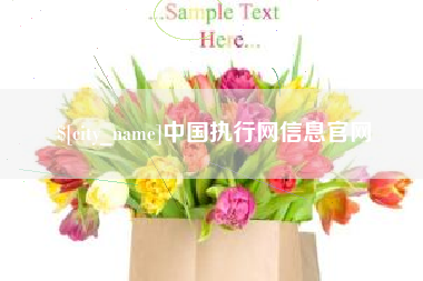 桂阳中国执行网信息官网