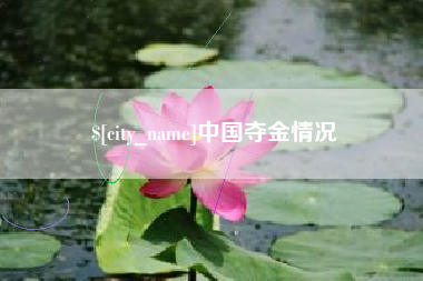 桂阳中国夺金情况