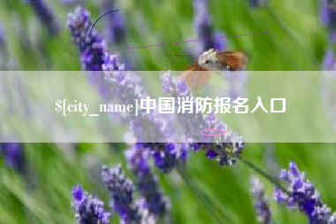 桂阳中国消防报名入口