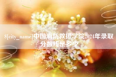 桂阳中国消防救援学院2024年录取分数线是多少