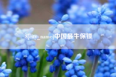 桂阳中国最牛保镖