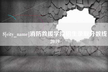 桂阳消防救援学院招生录取分数线2019
