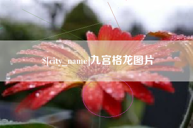 桂阳九宫格龙图片