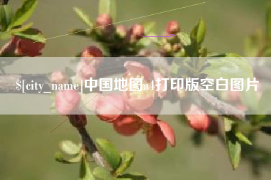 桂阳中国地图a4打印版空白图片