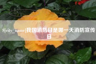 桂阳我国消防日是哪一天消防宣传日