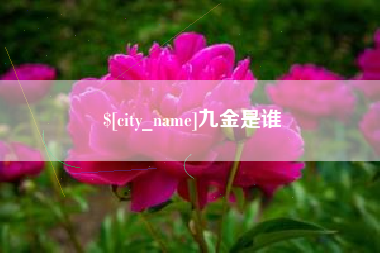 桂阳九金是谁