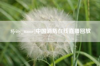 桂阳中国消防在线直播回放