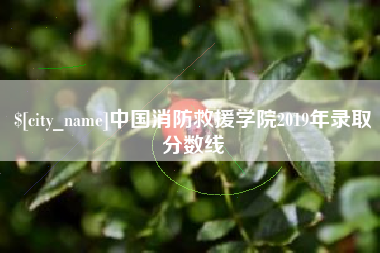 桂阳中国消防救援学院2019年录取分数线