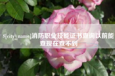 桂阳消防职业技能证书查询以前能查现在查不到