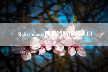 桂阳国家消防报名入口