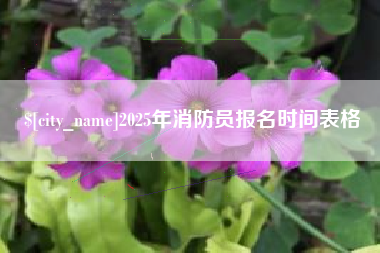 桂阳2025年消防员报名时间表格