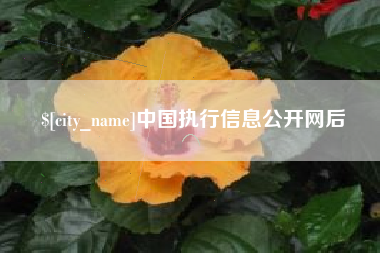 桂阳中国执行信息公开网后