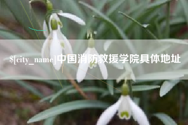 桂阳中国消防救援学院具体地址