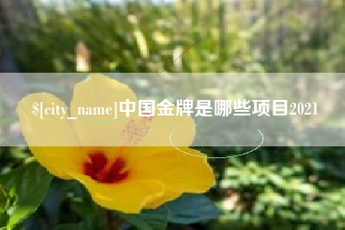 桂阳中国金牌是哪些项目2021