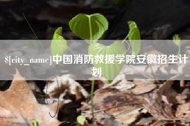 桂阳中国消防救援学院安徽招生计划